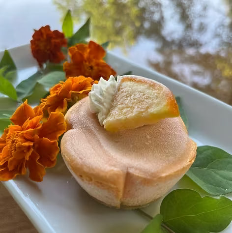 Orange Dreamsicle Cheesecake